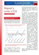Obraz Analiza Rynku CO2 październik 2012