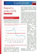 Obraz Analiza Rynku CO2 listopad 2012