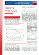 Obraz Analiza Rynku CO2 styczeń 2013