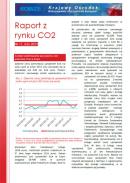 Obraz Analiza Rynku CO2 luty 2013
