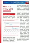 Obraz Analiza Rynku CO2 kwiecień 2013