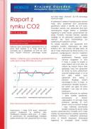 Obraz Analiza Rynku CO2 maj 2013