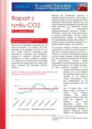 Obraz Analiza Rynku CO2 czerwiec 2013