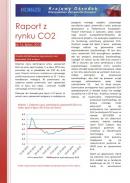 Obraz Analiza Rynku CO2 lipiec 2013
