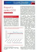Obraz Analiza Rynku CO2 wrzesień 2013