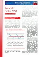 Obraz Analiza Rynku CO2 październik 2013