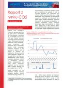 Obraz Analiza Rynku CO2 listopad 2013
