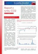 Obraz Analiza Rynku CO2 czerwiec 2014